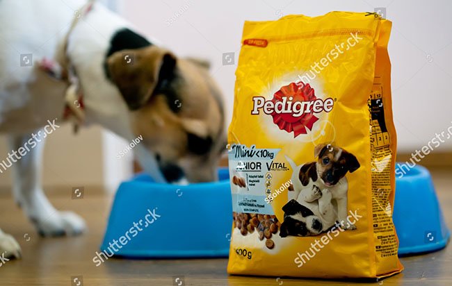 Thức ăn cho chó Pedigree có tốt không?