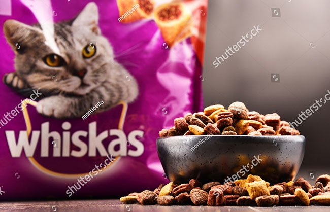 Thức ăn cho mèo Whiskas có gì đặc biệt?